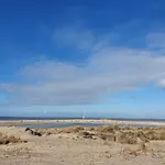 Cozy Garden House kijkduin Beach