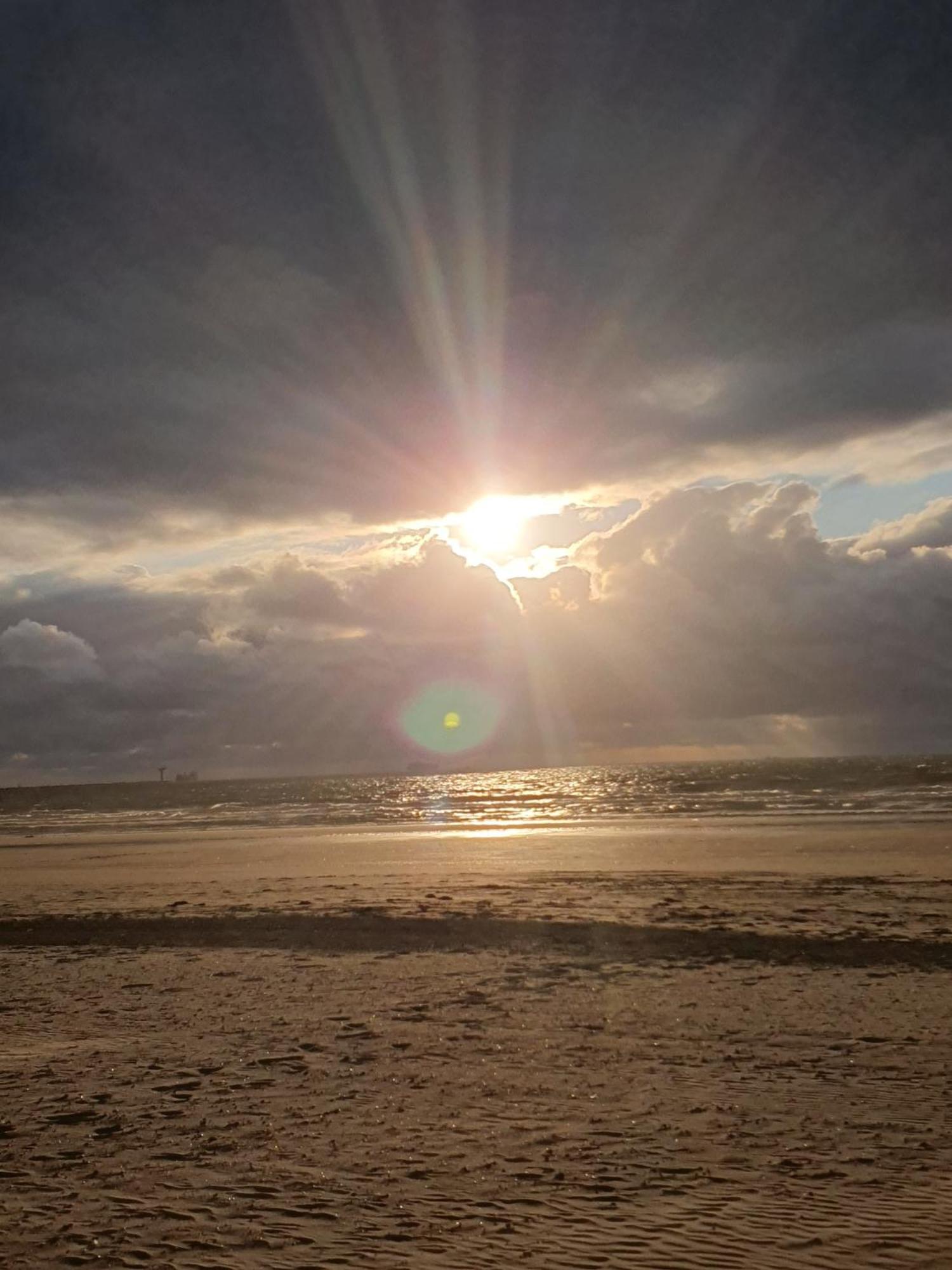 Cozy Garden House Kijkduin